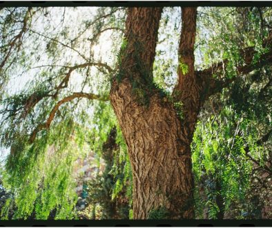 pexels-adria-masi-461420600-23445751 pexels-adria-masi-461420600-23445751